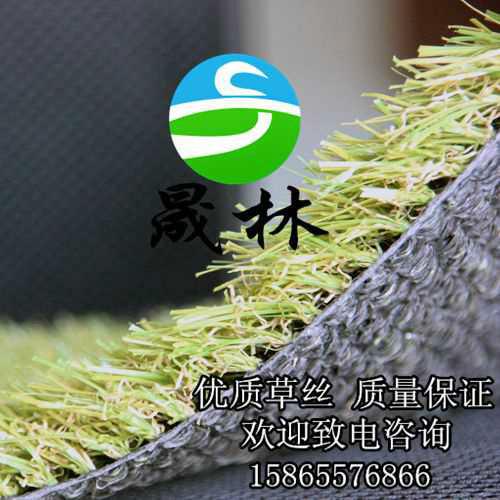 人造草坪圖片/人造草坪樣板圖 (3)