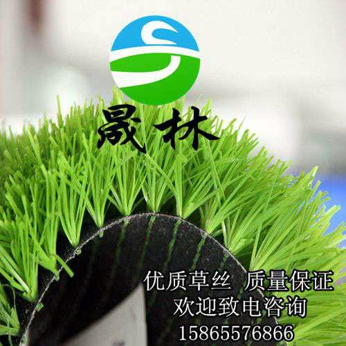 供應(yīng)人造草坪全國(guó)*價(jià)供應(yīng)足球場(chǎng)