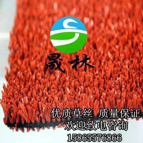 供應(yīng)學(xué)校人造草坪門球場