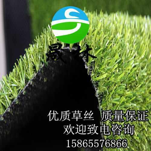 足球場專用人造草坪天津供應(yīng)圖片