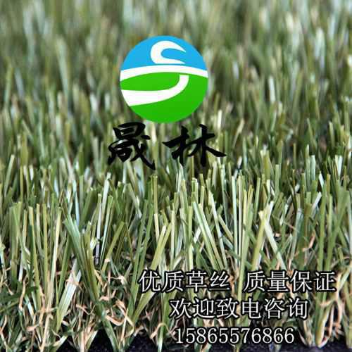 供應(yīng)晟林制造幼兒園*人造草坪