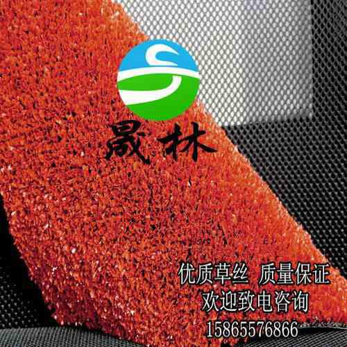 幼兒園彩色人造草坪北方供應(yīng)商圖片