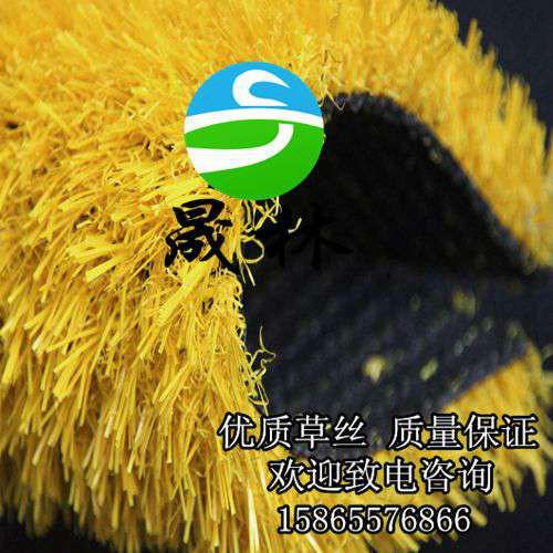 供應(yīng)*人造草坪門球場