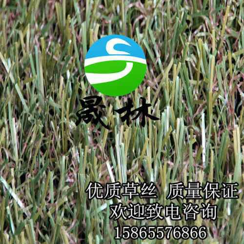 供應(yīng)幼兒園*人造草坪青島供應(yīng)