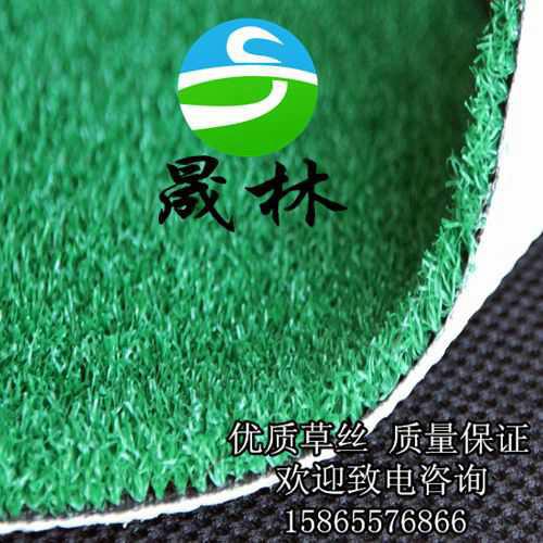 供應晟林供應門球場*人造草坪