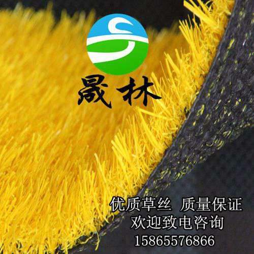 供應(yīng)人造草坪