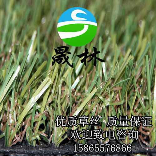 供應(yīng)人造草坪籃球場*晟林制造