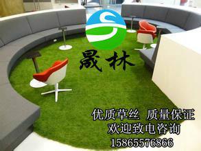 供應(yīng)幼兒園彩色人造草坪