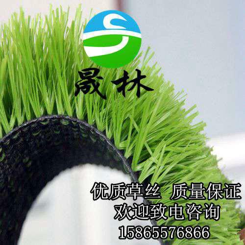 供應(yīng)*人造草坪足球場北方供應(yīng)商