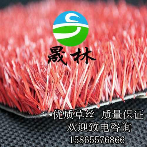 部隊(duì)人造草坪足球場(chǎng)圖片