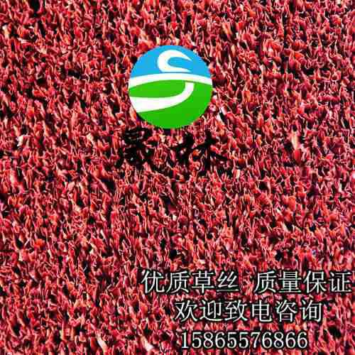 供應(yīng)學(xué)校人造草坪門球場