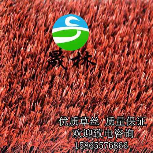 供應(yīng)學(xué)校人造草坪門(mén)球場(chǎng)北方供應(yīng)商