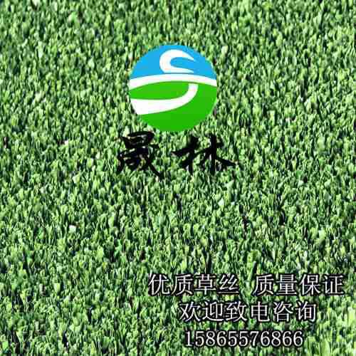 供應晟林制造高爾夫球場*人造草坪