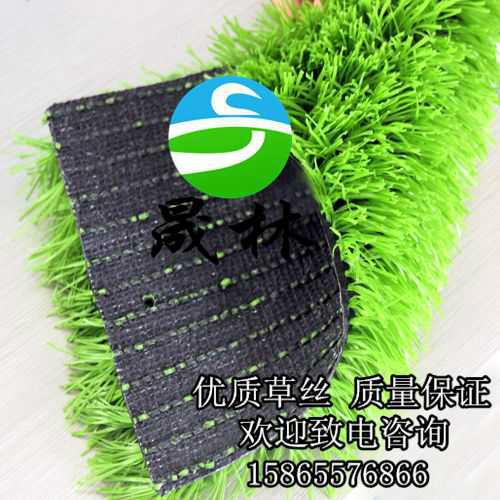 供應(yīng)*人造草坪足球場北方供應(yīng)商