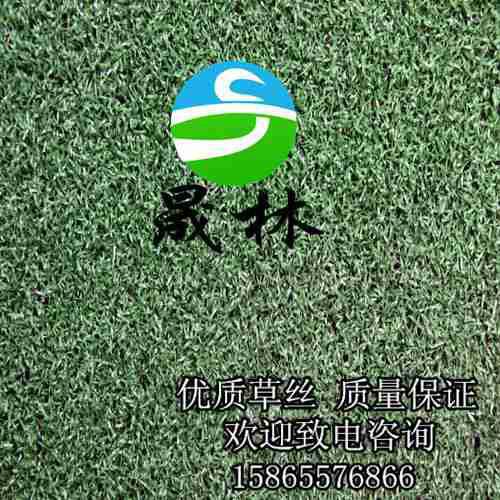 供應晟林供應門球場*人造草坪