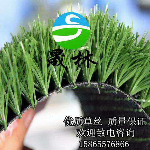 供應(yīng)*人造草坪足球場北方供應(yīng)商