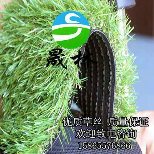 人造草坪足球場圖片/人造草坪足球場樣板圖 (4)