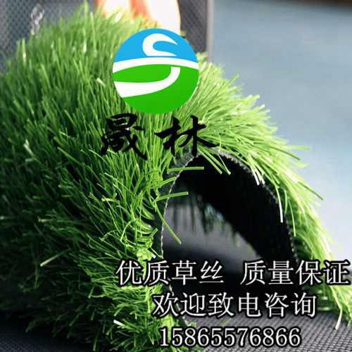 晟林供應(yīng)籃球場專用人造草坪圖片