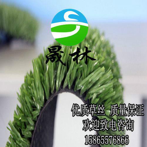 供應(yīng)晟林制造足球場人造草坪