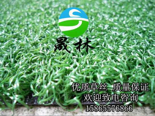 人造草坪北方供應(yīng)商圖片