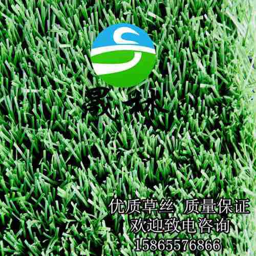 供應(yīng)幼兒園彩色人造草坪