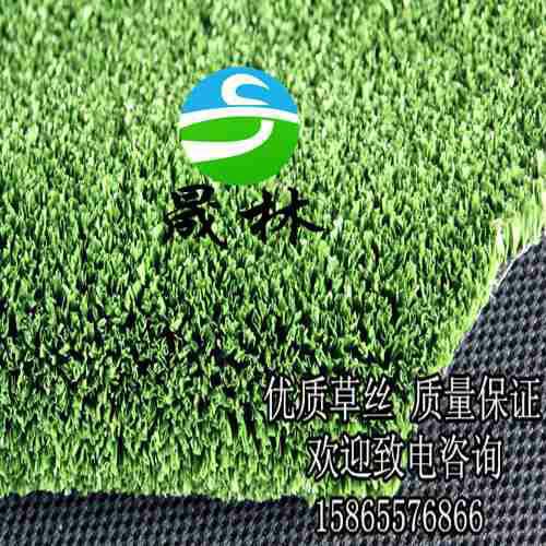 供應晟林制造高爾夫球場*人造草坪