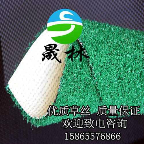 供應晟林供應門球場*人造草坪