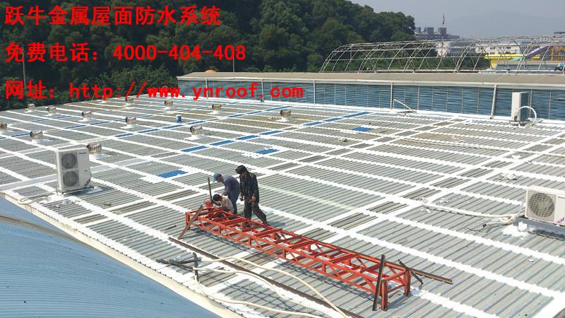 供應(yīng)承接金屬屋面防水彩鋼板防水
