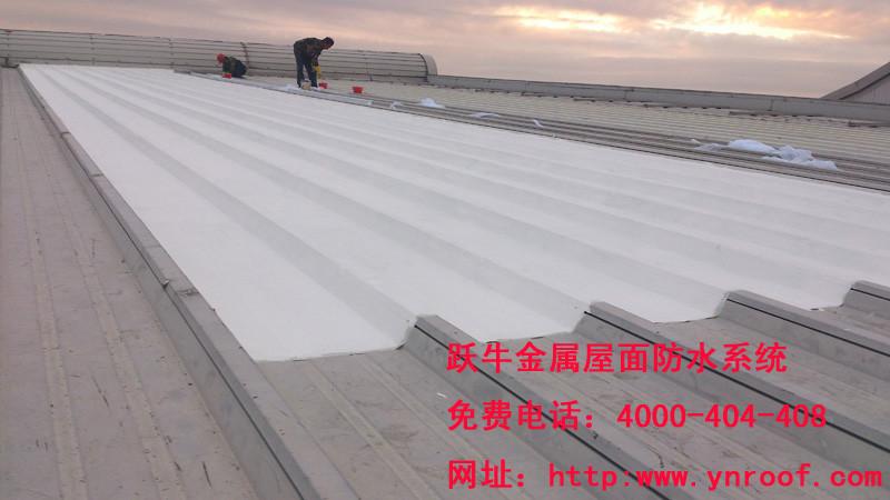 承接廈門躍牛金屬屋面防水廠房屋圖片