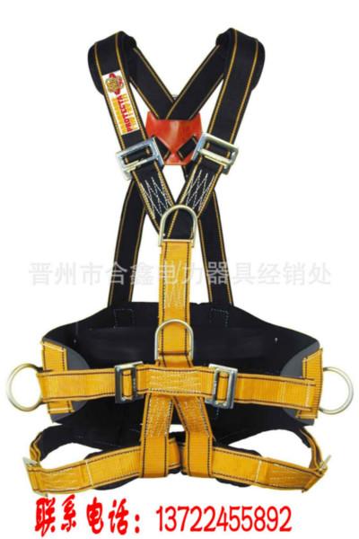 供應全身式多掛點安全帶