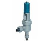 供應(yīng) 上海栓高AHN42F型平衡安全閥圖片技術(shù)