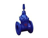 供應(yīng) Z41X/RRHX型明桿軟密封閘閥上海栓高閥門廠生產(chǎn)