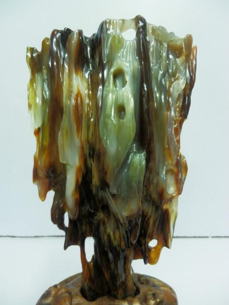 供應(yīng)瑞麗樹化玉