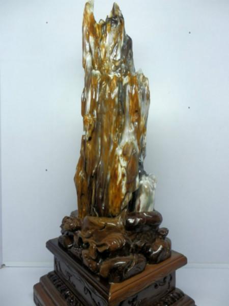 供應(yīng)億萬年植物化石*樹化玉北京收藏