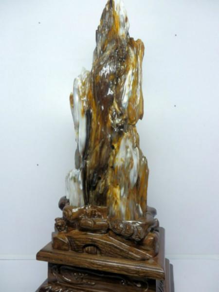 供應(yīng)億萬年植物化石*樹化玉北京收藏