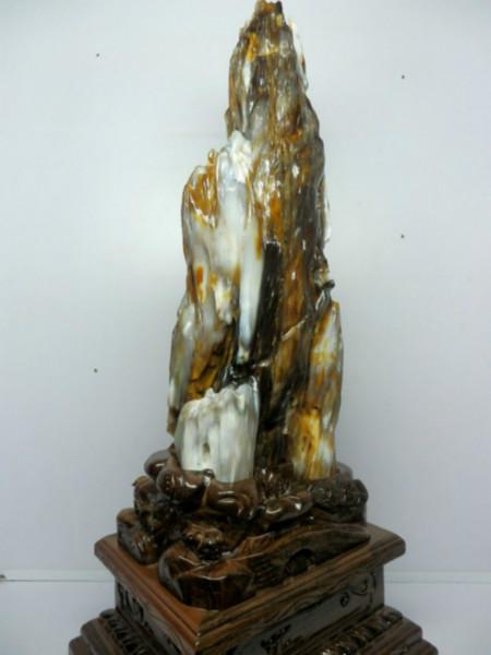 供應(yīng)億萬年植物化石*樹化玉北京收藏