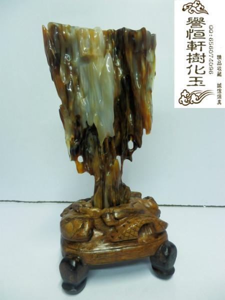 供應(yīng)瑞麗樹化玉