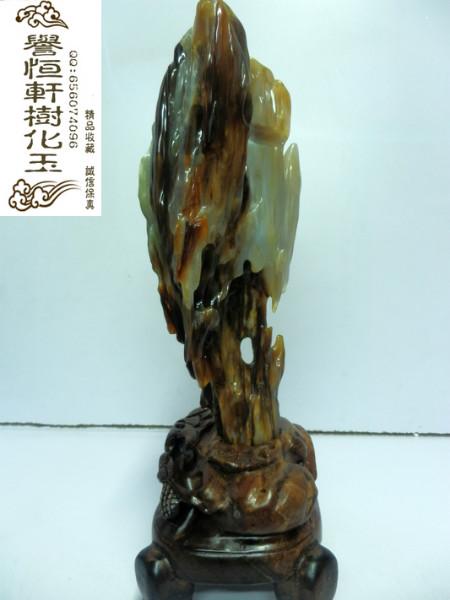 供應(yīng)瑞麗樹化玉