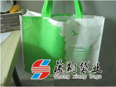 廣州高檔無紡布環(huán)保袋工廠圖片