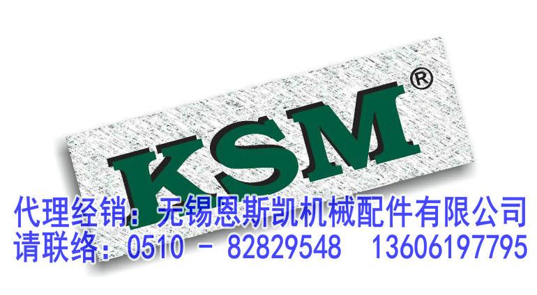 KSM軸承中國代理經(jīng)銷無錫恩斯凱KSM全系列產(chǎn)品