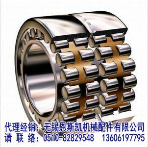 MPZ軸承中國代理經(jīng)銷-無錫恩斯凱-MPZ軸承產(chǎn)品