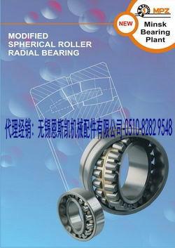 MPZ軸承中國代理經(jīng)銷-無錫恩斯凱-MPZ軸承產(chǎn)品