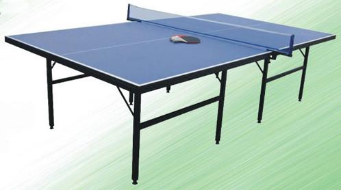 乒乓球臺(tái)501圖片