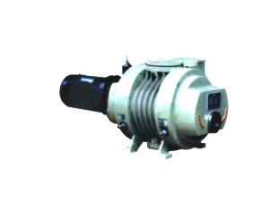 供應(yīng)羅茨泵