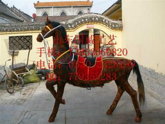 供應(yīng)照相*