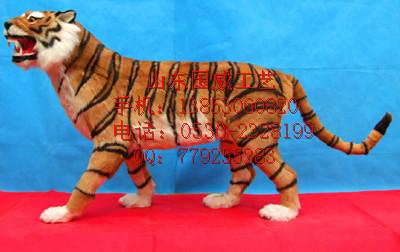 供應(yīng)照相老虎