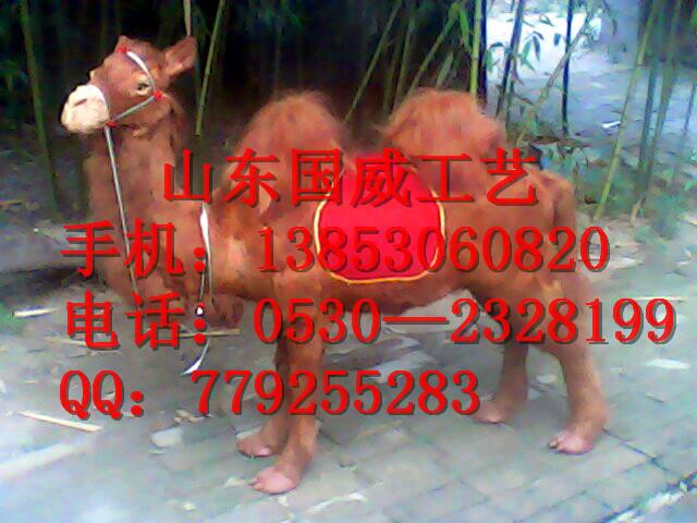 供應仿真動物仿真駱駝照相駱駝