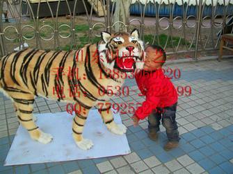 仿真老虎圖片/仿真老虎樣板圖 (3)