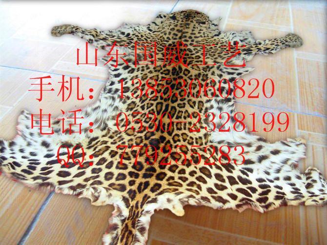 仿真豹子皮圖片/仿真豹子皮樣板圖 (3)