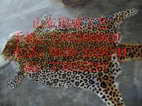 仿真豹子皮圖片